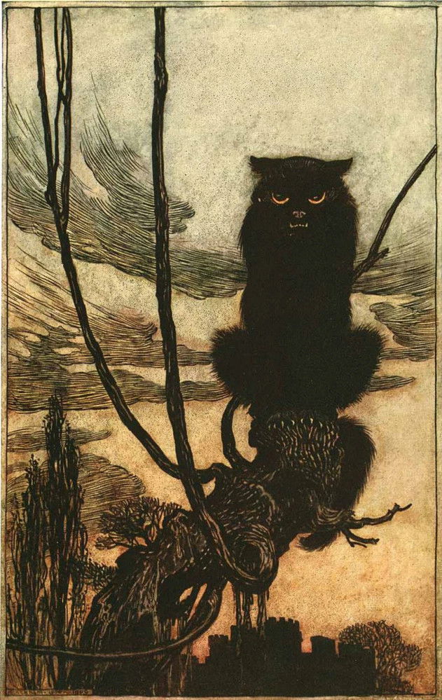 Le tableau « Le jour où elle s’est transformée en chat (By Day She Made Herself Into a Cat) », d'Arthur Rackham, qui représente la métamorphose d'une femme en chat