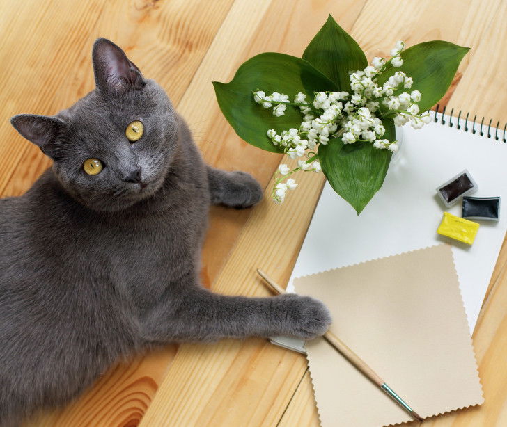 Un chat gris tient un pinceau et un carnet dans sa patte