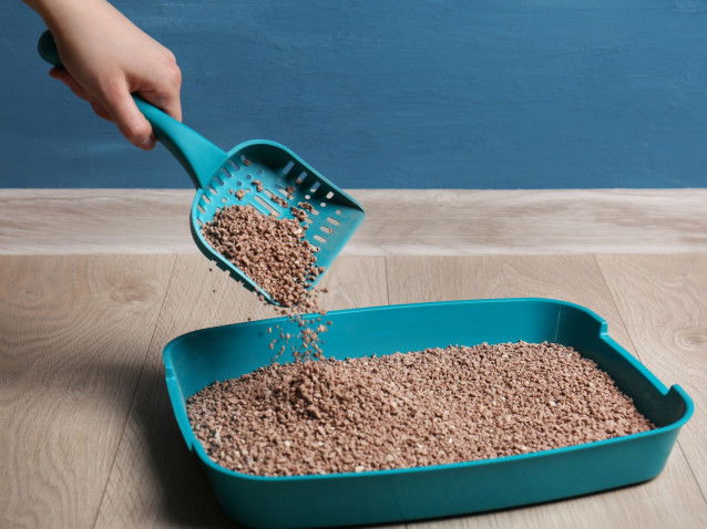 Une femme remplit le bac à litière de son chat