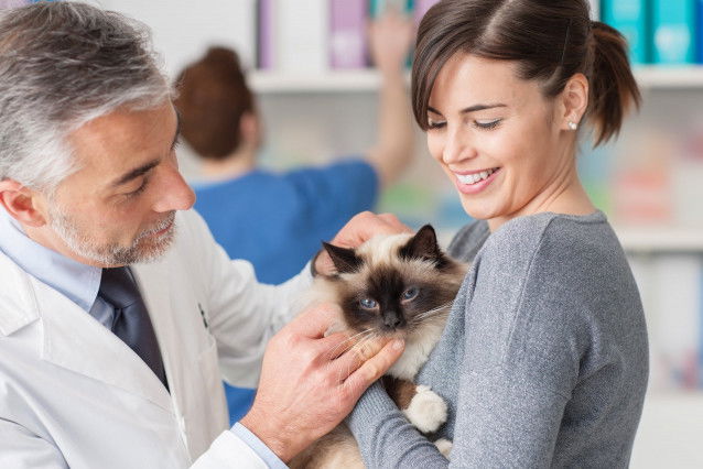 Une femme emmène son chat chez un vétérinaire