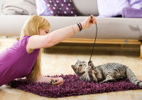 Une femme blonde joue avec son chat à l'aide d'un plumeau