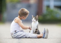 Un enfant en train de parler à un chat