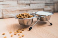 Une gamelle de croquettes et une gamelle de lait