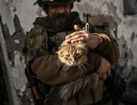 Un soldat ukrainien caressant un chat dans ses bras