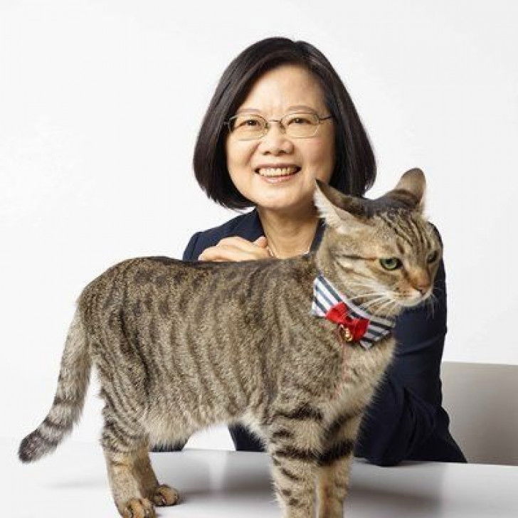 Tsai Ing-wen avec son chat Think Think sur une table devant elle
