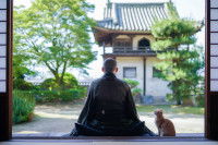 Un chat assis à côté d'un moine dans un temple bouddhiste japonais