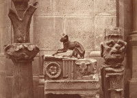 Un chat momifié trouvé dans le château de Saint-Germain (France)