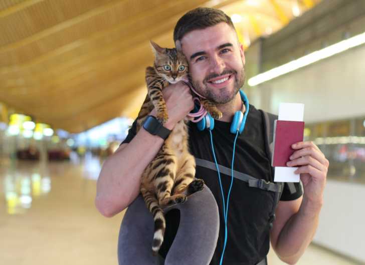 Importation Vacances Faire Entrer Un Chat Au Canada