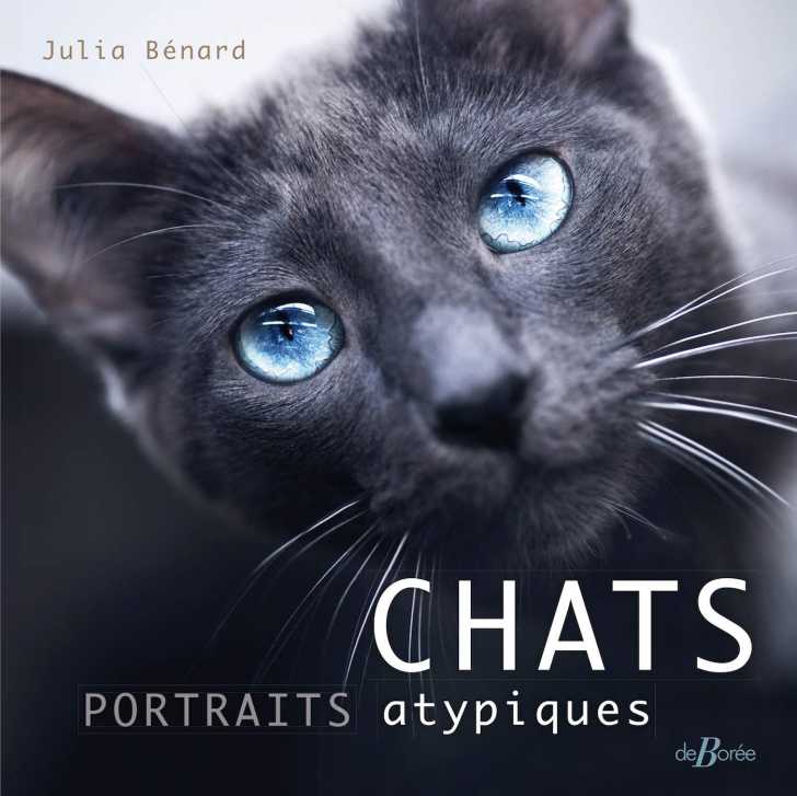 Chats Portraits Atypiques Julia Benard