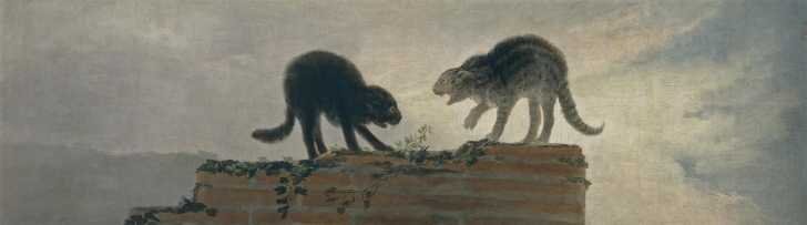 Chats Qui Se Battent De Francisco De Goya 1786