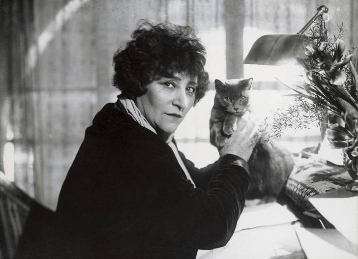 Les écrivains Le Silence Et Les Chats Les citations sur les chats