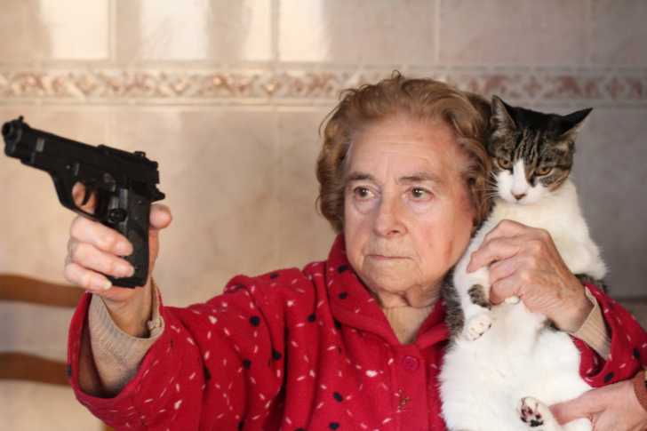 Faire Identifier Son Chat Par Puce Electronique Ou Tatouage
