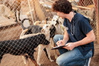 Un vétérinaire en visite dans un refuge pour chiens