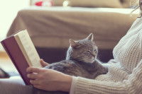 Un chat allongé sur une femme en train de lire