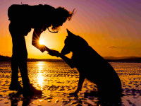 Qu’est-ce qu’un étho-psycho comportementaliste ?