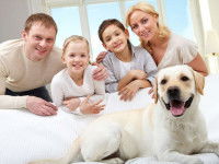 La formation d’un étho-psycho comportementaliste