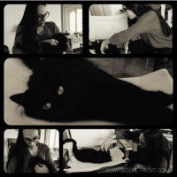 Une femme s'occupe d'un chat noir