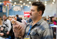 Une personne tenant un chat dans ses bras lors d'une exposition féline