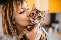 Une personne tenant un chaton dans ses bras et l'embrassant