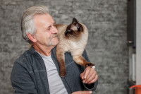 Un chat Siamois installé sur l'épaule d'une personne, tous les deux se regardant avec complicité