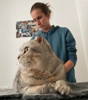 Eugénie Delaune au cours d'une séance d'ostéopathie avec un chat