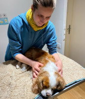 Eugénie Delaune en pleine séance d'ostéopathie avec un chien