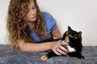 Une ostéopathe manipulant un chat