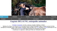 Le site internet d'Eugénie Delaune, ostéopathe