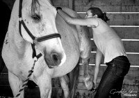 Eugénie Delaune manipulant la patte arrière d'un cheval