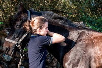 Eugénie Delaune en pleine séance d'ostéopathie avec un cheval