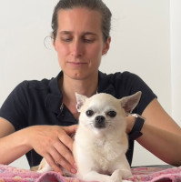 Eugénie Delaune lors d'une séance d'ostéopathie avec un chien