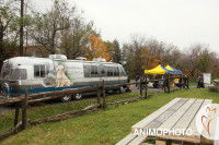Le camping-car studio de Brigitte Faucher