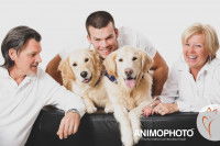 Photo en studio d'une famille et ses deux Golden Retrievers