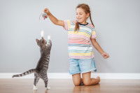 Une enfant jouant avec son chat