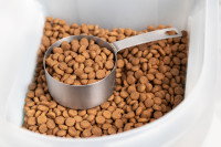 Une louche dans un bol de croquettes pour chat