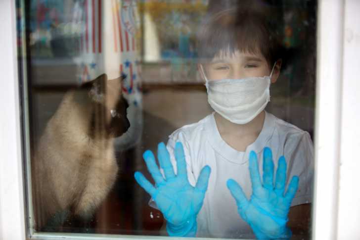 Coronavirus Chat Et Confinement Tout Ce Qu Il Faut Savoir