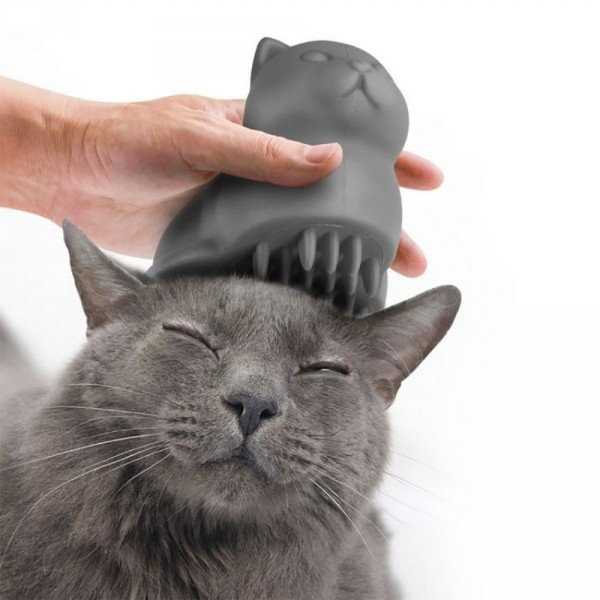 Les Massages Pour Chat