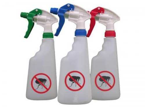 Des Techniques Naturelles Pour Se Debarrasser Des Puces Sur Votre Chat Et Dans La Maison