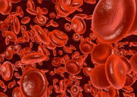 Globules rouges