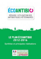 Faut-il avoir peur des antibiotiques pour animaux ?