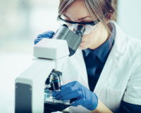 Vétérinaire en train de faire un diagnostic