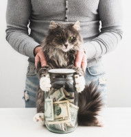 Une maitresse tenant un chat à poil long tenant un bocal avec de l'argent