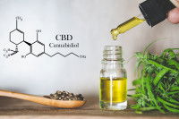 Des feuilles de chanvre et de l'huile de CBD