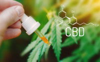 Pipette d'un flacon de CBD