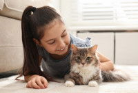 Une petite fille et son chat allongés côte à côte