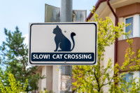Un panneau "Attention, chat qui traverse" dans une ville