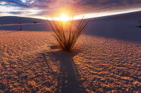 Photo d'un coucher de soleil dans un horizon désertique