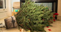 Un sapin de Noël renversé sur le sol