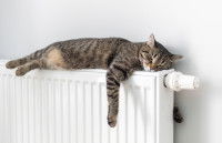 Un chat tigré est allongé sur un radiateur