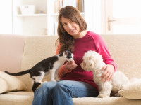 Habituer son chat ou son chien à être manipulé